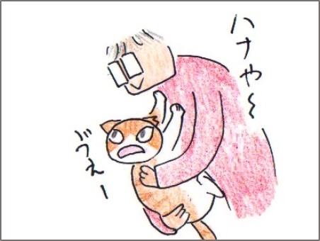 f:id:chai-ko:20171224143511j:plain