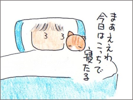 f:id:chai-ko:20171224143518j:plain