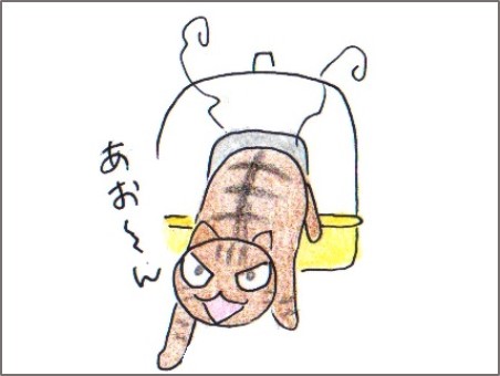 f:id:chai-ko:20171226202439j:plain