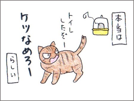 f:id:chai-ko:20171226202446j:plain