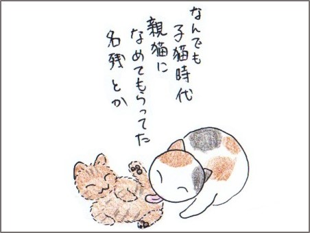 f:id:chai-ko:20171226202449j:plain