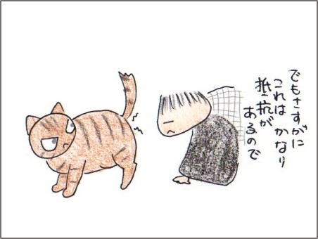 f:id:chai-ko:20171226202454j:plain