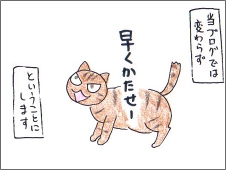 f:id:chai-ko:20171226202457j:plain