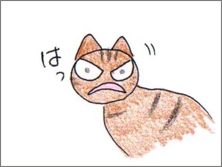f:id:chai-ko:20171228223840j:plain