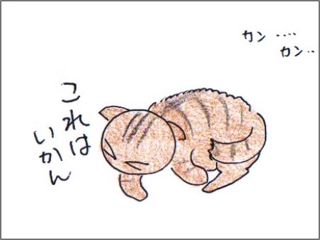 f:id:chai-ko:20171228223843j:plain