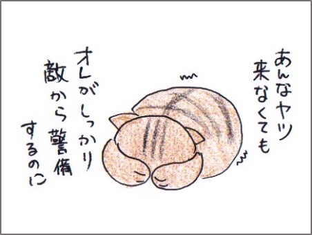 f:id:chai-ko:20171228235230j:plain