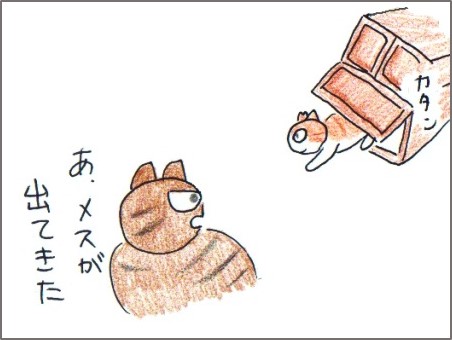 f:id:chai-ko:20180202203908j:plain