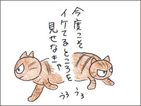 f:id:chai-ko:20180202204139j:plain