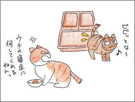 f:id:chai-ko:20180202204143j:plain