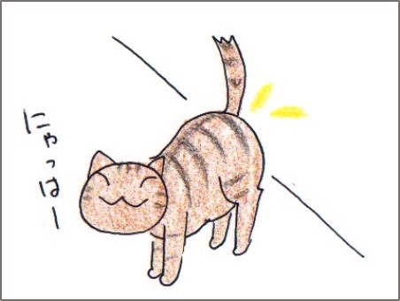 f:id:chai-ko:20180207200206j:plain