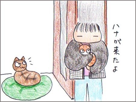 f:id:chai-ko:20180213195637j:plain