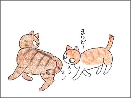 f:id:chai-ko:20180213195639j:plain