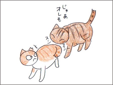 f:id:chai-ko:20180213195642j:plain