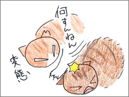 f:id:chai-ko:20180213195644j:plain