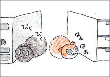f:id:chai-ko:20180214202622j:plain
