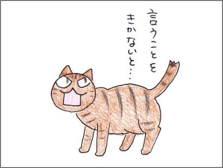 f:id:chai-ko:20180218202335j:plain