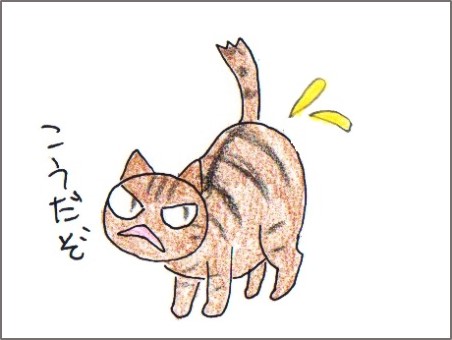f:id:chai-ko:20180218202429j:plain