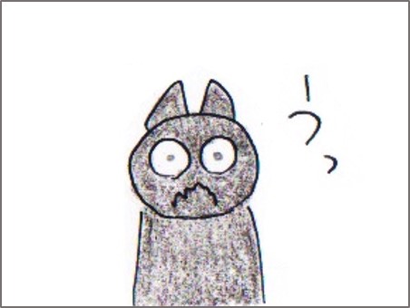 f:id:chai-ko:20180228215140j:plain