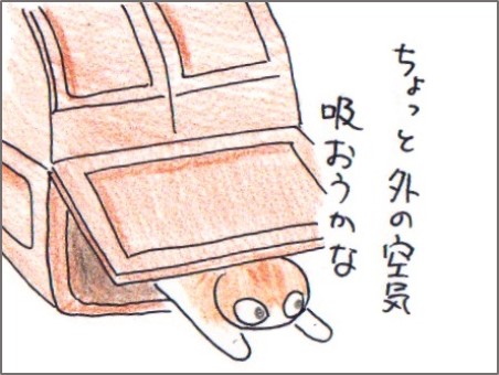 f:id:chai-ko:20180301205049j:plain