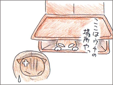 f:id:chai-ko:20180301205102j:plain