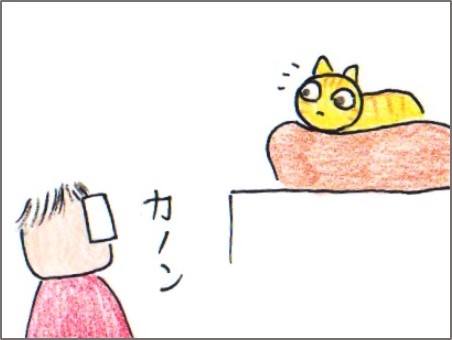 f:id:chai-ko:20180406204402j:plain