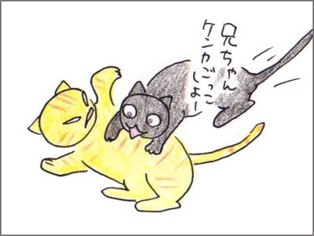 f:id:chai-ko:20180406204655j:plain