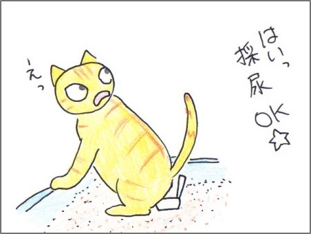 f:id:chai-ko:20180415204642j:plain