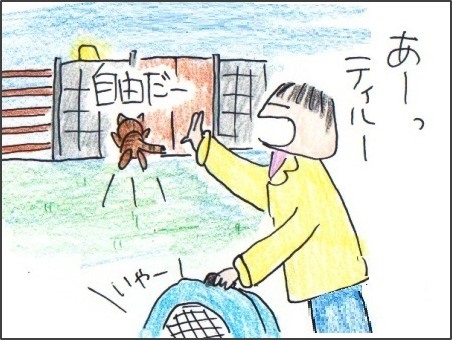 f:id:chai-ko:20180419211456j:plain