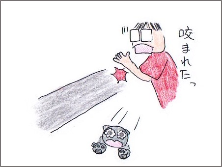 f:id:chai-ko:20180604205249j:plain