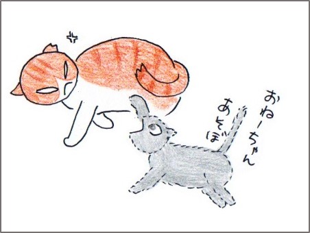 f:id:chai-ko:20180611203444j:plain