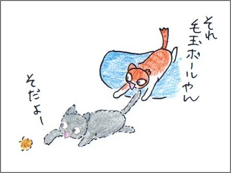 f:id:chai-ko:20180614204503j:plain