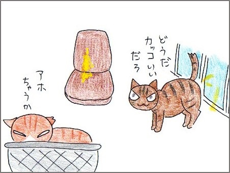 f:id:chai-ko:20180616202410j:plain