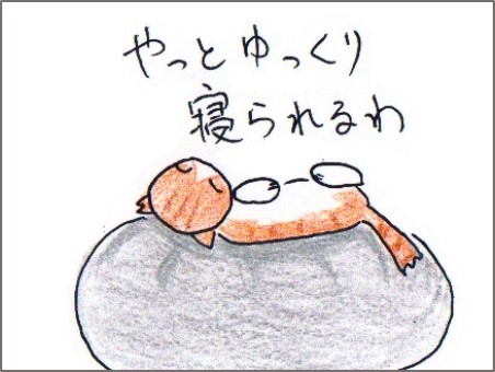 f:id:chai-ko:20180624203331j:plain f:id:chai-ko:20180624203331j:plain