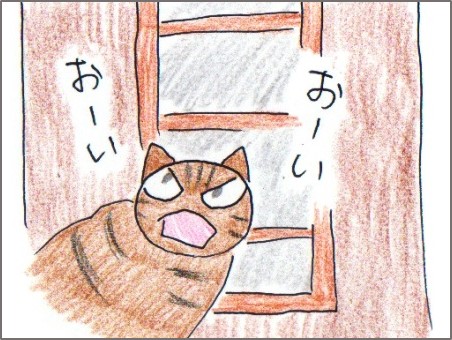 f:id:chai-ko:20180706151608j:plain