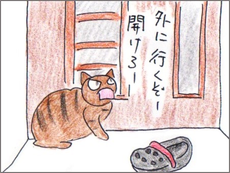 f:id:chai-ko:20180706151609j:plain