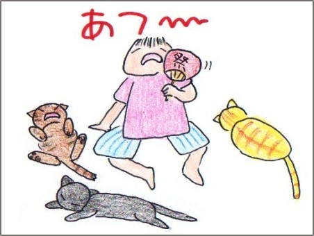 f:id:chai-ko:20180718110133j:plain
