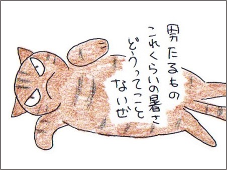 f:id:chai-ko:20180718110359j:plain