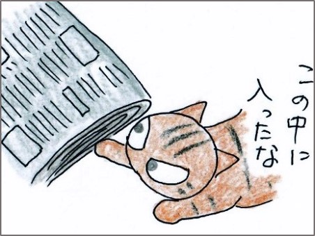 f:id:chai-ko:20180729105903j:plain