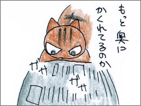 f:id:chai-ko:20180729105911j:plain