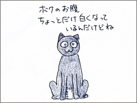 f:id:chai-ko:20180816230838j:plain