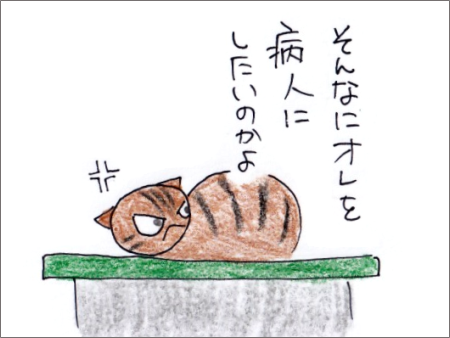 f:id:chai-ko:20180828201648p:plain