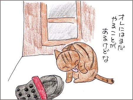 f:id:chai-ko:20180929202541j:plain