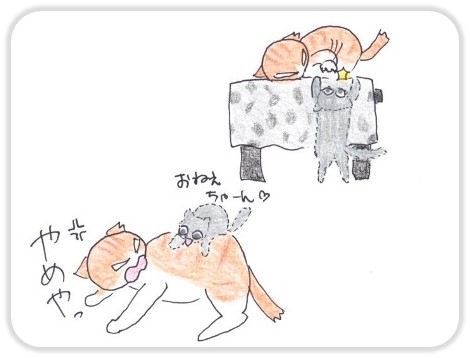 f:id:chai-ko:20181007194143j:plain