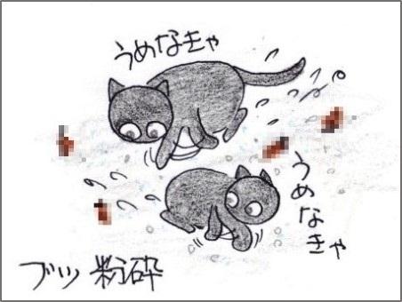 f:id:chai-ko:20181012201749j:plain