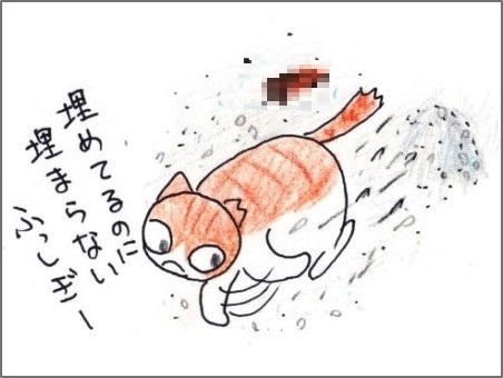 f:id:chai-ko:20181012202010j:plain