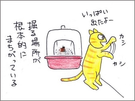 f:id:chai-ko:20181012202034j:plain