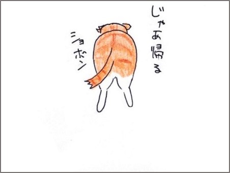 f:id:chai-ko:20181013195212j:plain