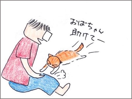 f:id:chai-ko:20181014192235j:plain