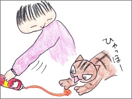 f:id:chai-ko:20181019202752j:plain