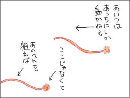 f:id:chai-ko:20181019202756j:plain